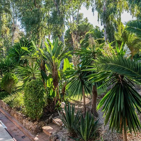 Xpce Rodeo - Puerto Banus Marbellac